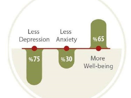 Why meditate? Meditation Benefits and statistics