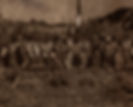Confederate 3a960.jpg