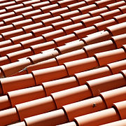 roof shingles