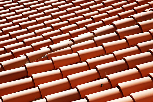 roof shingles