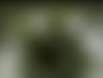 Calcium Carbonate: A Common Culprit in Groundwater Well Blockages