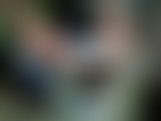 White stains on plants & walls