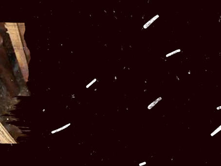 Iron or Manganese Problems?