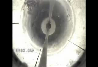 Surprise at 4 Meters – Snakes Spotted in a Shallow Borehole!