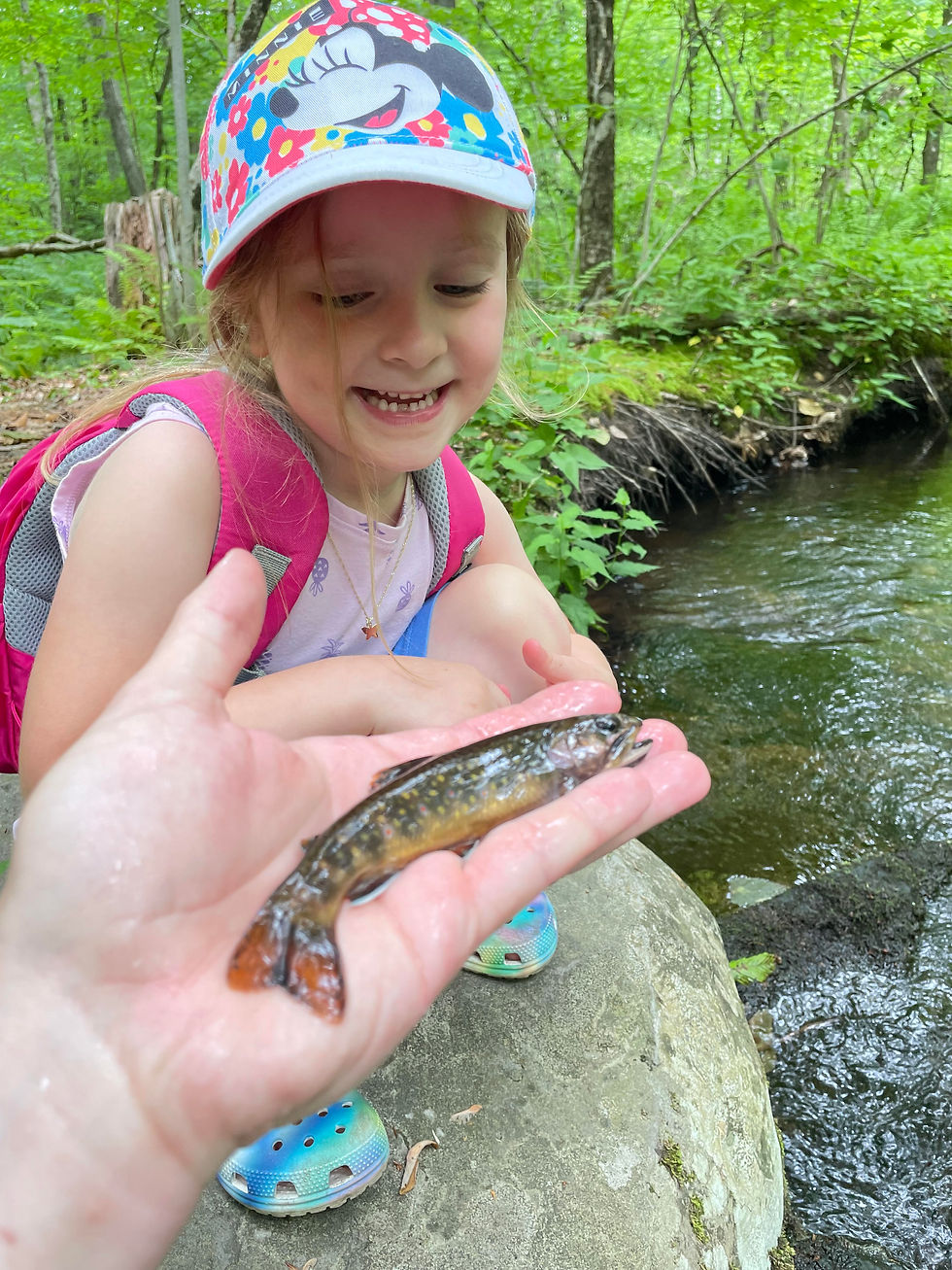 The Catch
