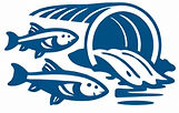 fish passage_edited.jpg