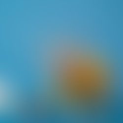 Aprenda como higienizar os potes do seu pet