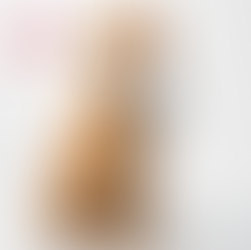 Os pets podem praticar exercício físico?