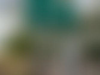 ASILO TORNA-SE MAIS DIFÍCIL COM JOE BIDEN