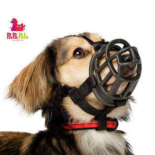 Focinheira: Saiba quando usa-la e qual a melhor para o seu Pet