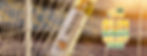 Banner-Piel-en-Juego-web.jpg