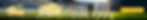 Banner-Piel-Secundario.jpg