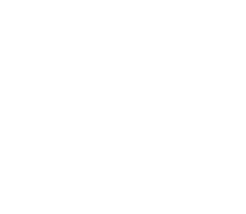 Chillis Galore logo
