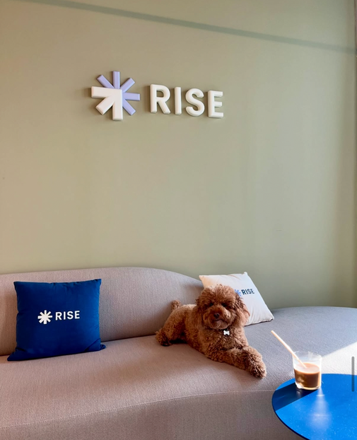 Fluffy brown dog on a grey couch, RISE logo on wall