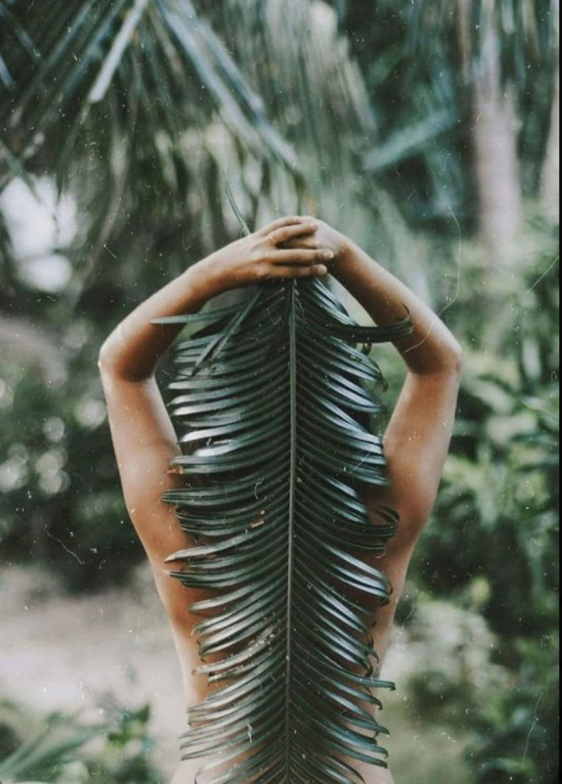 CRÉÉS PAR LA NATURE, CISELÉS PAR MODERE