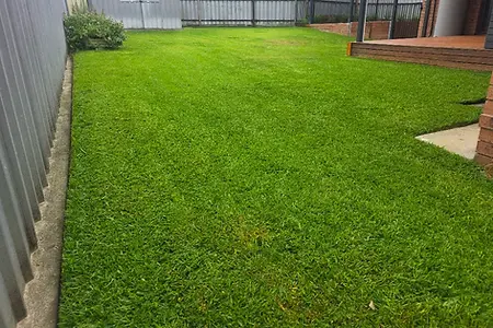 Lawn Mowing Newcastle