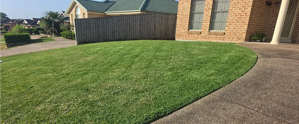 Lawn Mowing Newcastle.webp