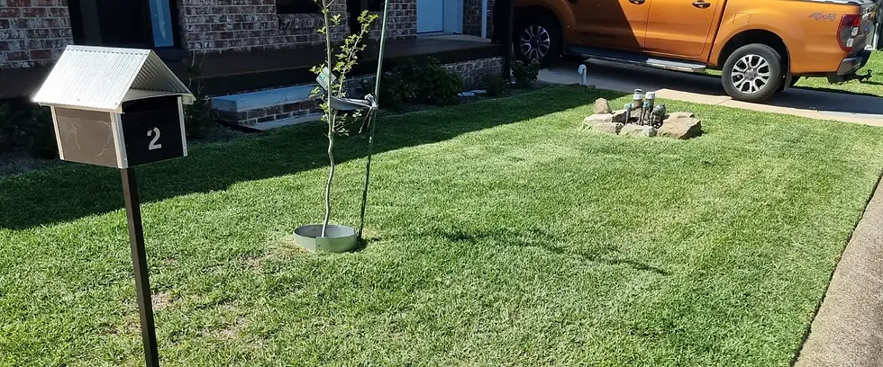 Lawn Mowing Newcastle.webp