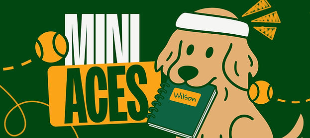 Mini Aces (3).jpg