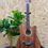 Thumbnail: Techno 38" Natural Wood Acoustic Guitar