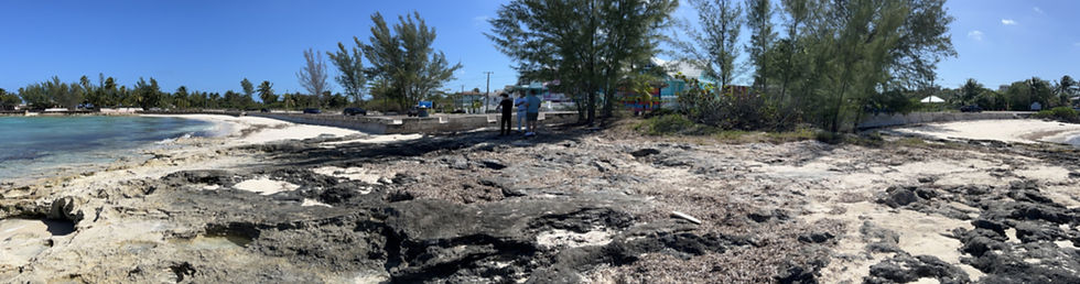 Existing Conditions 1_edited.jpg