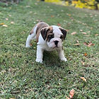View recent photos (3).jpeg