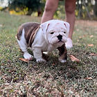 View recent photos (6).jpeg
