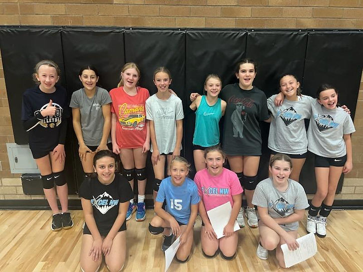 12 Lux Excel NW Volleyball