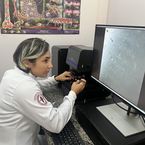 Dia Internacional das Mulheres na Ciência: aumento no número de pesquisadoras fortalecem a atuação feminina na produção de estudos científicos