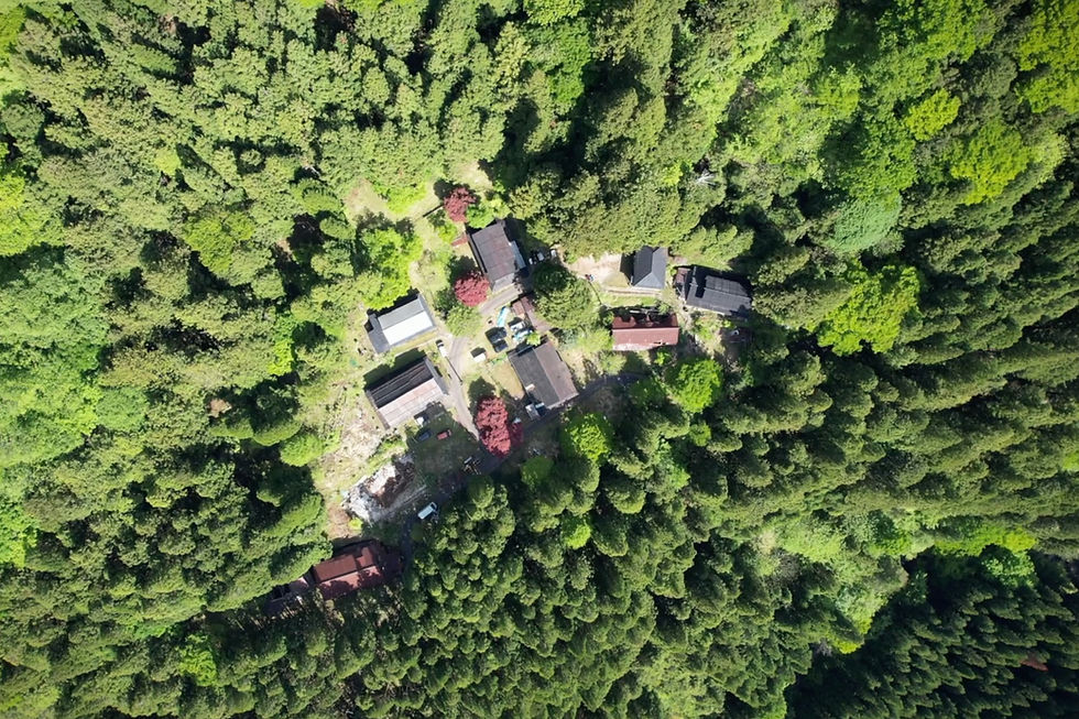 Eye-level view of a traditional Japanese house surrounded by lush greenery in Nakagoshi