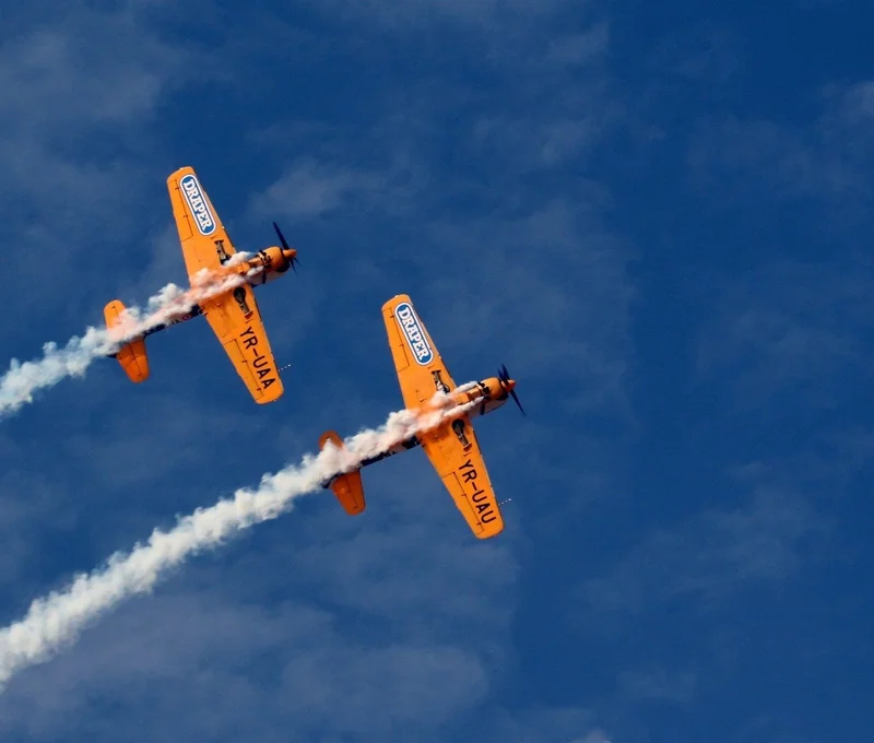800_63d866ba0c887_filter_63d866eba32c9.webp