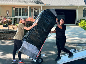 Professional Movers