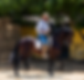horseback riding