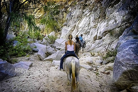 desert.trail.rides.csf011.jpeg