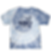 Tie Dye Short Sleeve - Wave/Palm