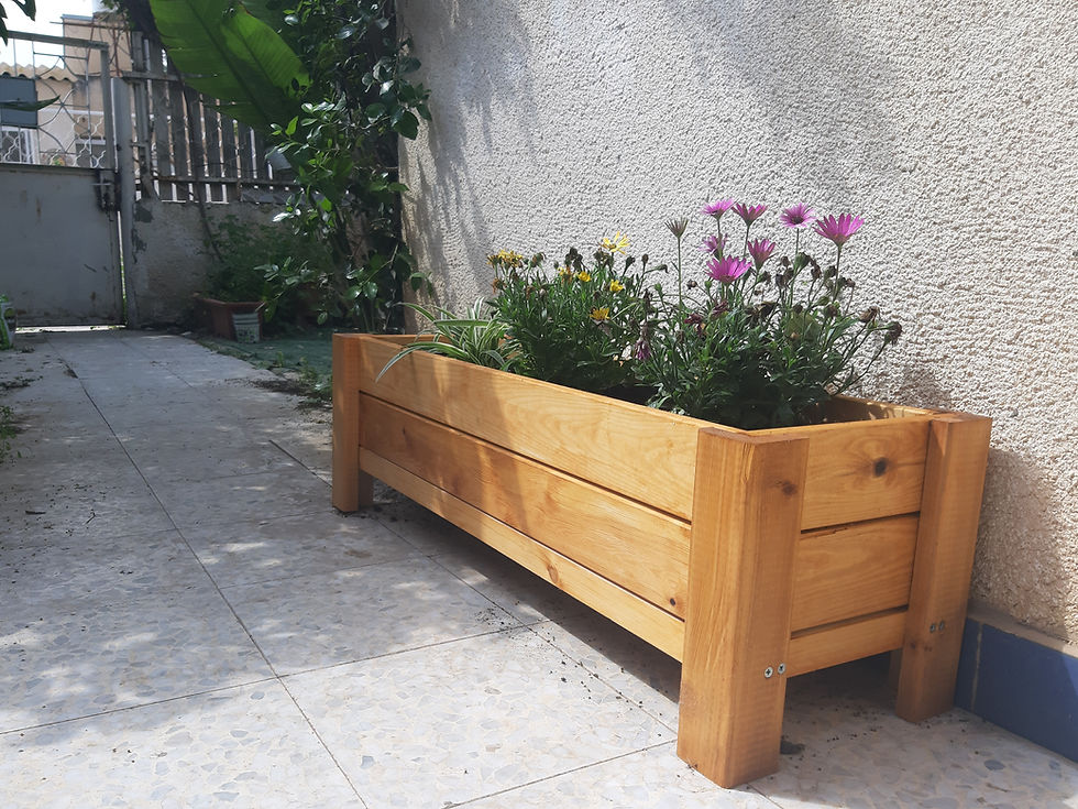 תמונה ממוזערת: אדנית גינה - חוברת בנייה דיגיטלית