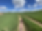 DCC0A9F7-6F96-455E-9B1E-AB17D71FF362.hei