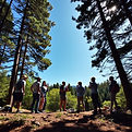 corporate team building in nature.jpg