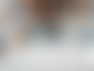 What I Wish I Knew Before Training Parents