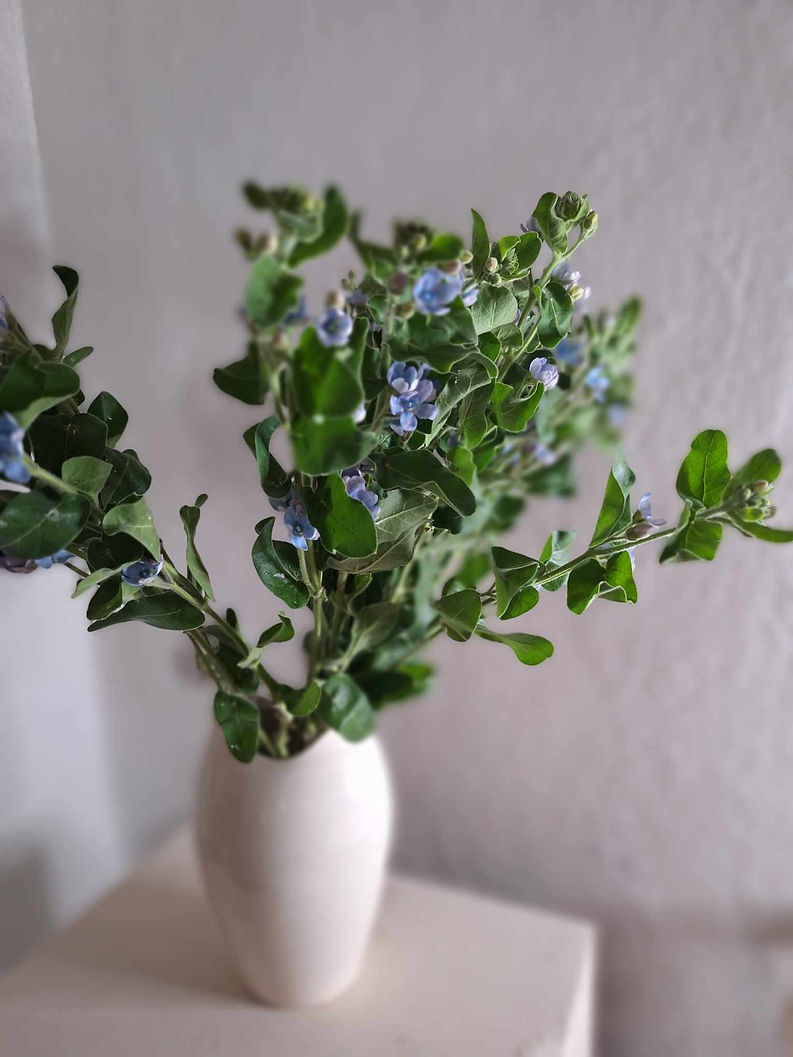 429560718_728522305756879_818490655961667941_n (1).jpg