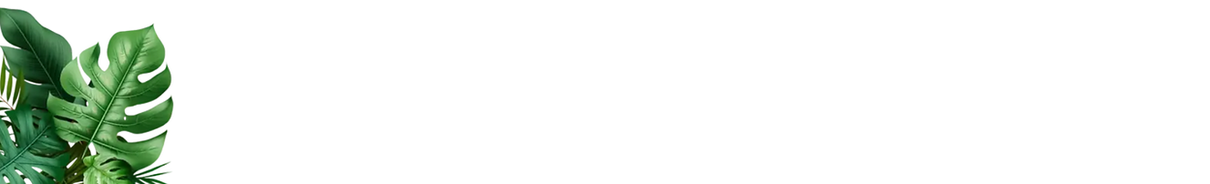 Footer Tropical Monstera Leaves Background.png