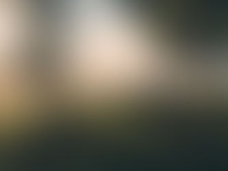 Moving through Mist : A Lesson from the Catskill Mountains