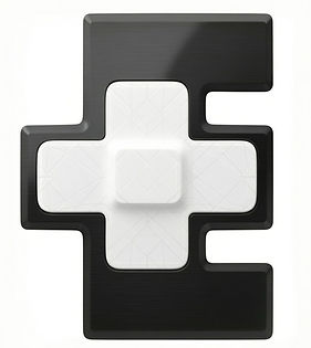 Official ENSITE LOGO_edited.jpg