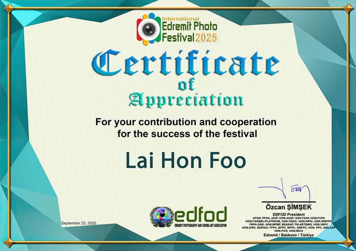Certificate of Appreciation Contribution EDFOD 2025.jpeg