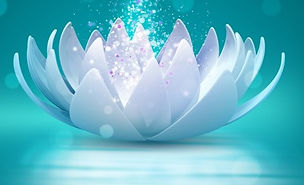 lotus-flower-690x282_modifié.jpg