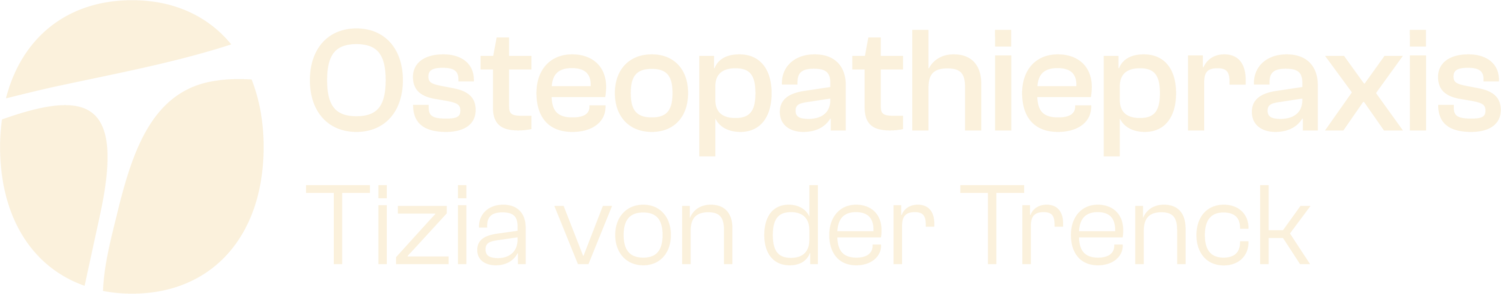 osteopathieparaxis-tvdt-wortbildmarke-beige-website.png