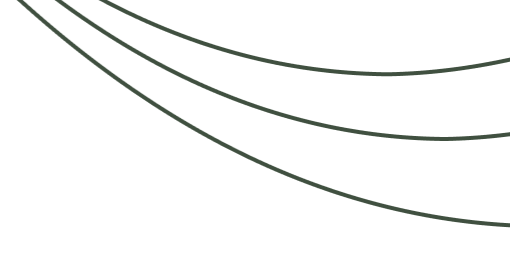 linien-1_edited.png