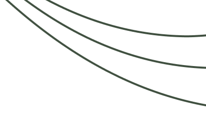 linien-1_edited.png