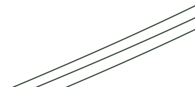 linien-2_edited.png