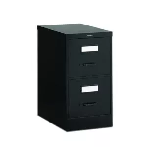 2 Drawer Black Vertical File (Letter).webp